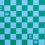 RAPID DRY TOWEL Sea Green Check